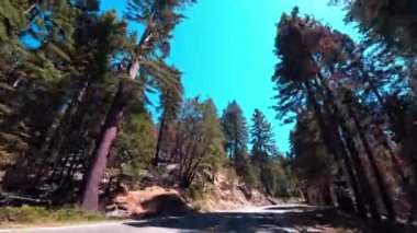 View of the road as you drive through Yosemite National Park on a clear, sunny day.