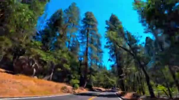 Yosemite National Park Driving Car Forest California Usa — 비디오