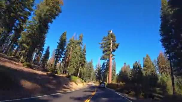 Beautiful Scenic Road Yosemite National Park California Usa — 비디오