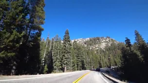 Strada Panoramica Mentre Guida Nel Parco Yosemite — Video Stock