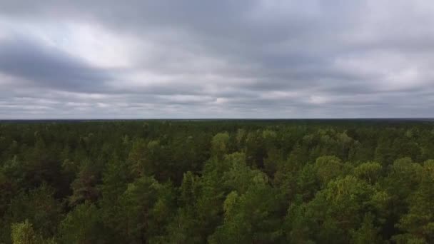 Drone Decollare Una Fitta Foresta Verde Una Giornata Nuvolosa — Video Stock