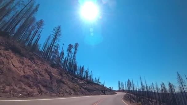 Conseguenze Degli Incendi Nelle Foreste Della California Durante Caldo Venti — Video Stock