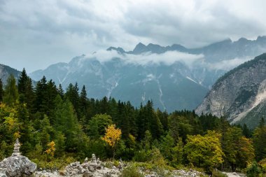Dağlık arazideki ormanın güzel manzarası