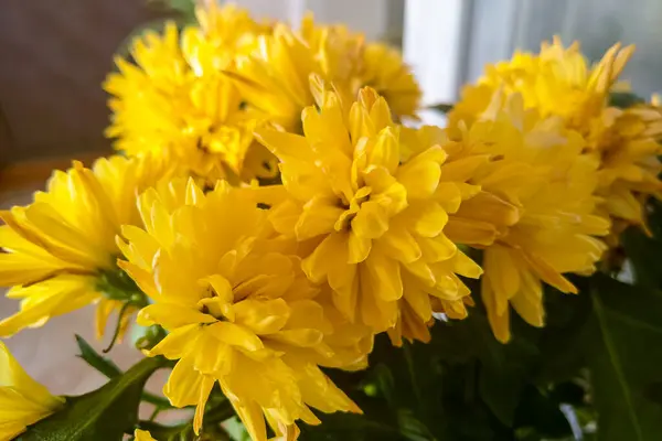 Belles Fleurs Jaunes Dans Bouquet Sur Table — Photo