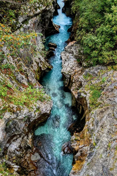 岩の多い山の川 渓谷の上のビュー スロベニアの国立公園 — ストック写真