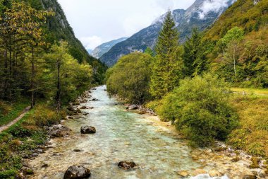 Slovenya ulusal parkında sonbaharda hızlı akan nehir