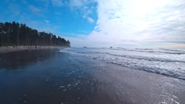 Costa Del Pacífico Madrugada Estado Washington — Vídeos de Stock