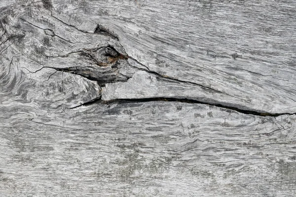 Textura vieja de madera gris. Antecedentes, enfoque selectivo. — Foto de Stock