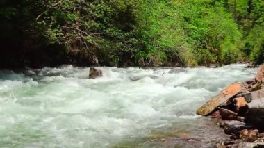 Soğuk temiz suyla dağdaki küçük dağ nehri.