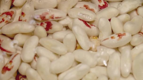 View Process Cooking Beans — Stock Video