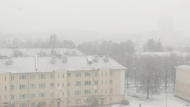 在房屋的衬托下 下着大雪 — 图库视频影像