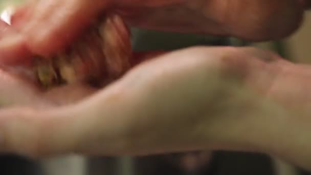 女人的手做肉丸子或肉丸子 — 图库视频影像