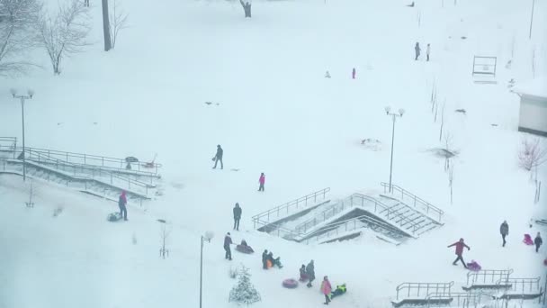 孩子们在下雪天滑行. — 图库视频影像