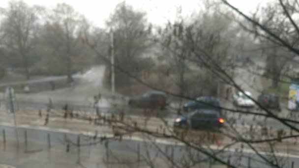 注意力不集中 模糊的背景 外面在下雨或下雪 乘坐交通工具和步行 — 图库视频影像