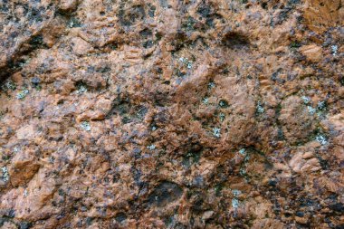 Büyük kırmızı bir taşın üzerine yakın plan. Arkaplan