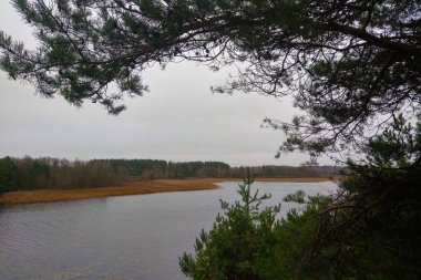 Sonbaharın sonlarında küçük bir orman gölü manzarası