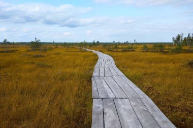 Yürümek için bataklıkta tahta bir patika.