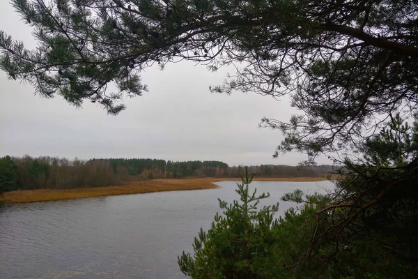 Sonbaharın sonlarında küçük bir orman gölü manzarası