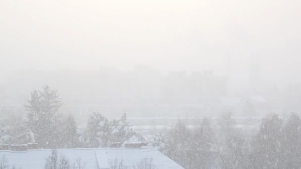 Valt Zware Sneeuw Europa Amerika Heel Koud Sneeuwachtige Winter — Stockvideo