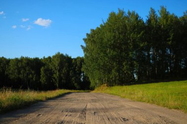 Ormanın önündeki kır yolu.