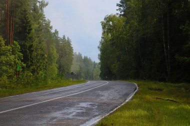 Yağmur sonrası orman boyunca ıslak yol