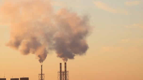 Timelapse Fumée Sort Cheminée Production Usine Pollution Environnement — Video