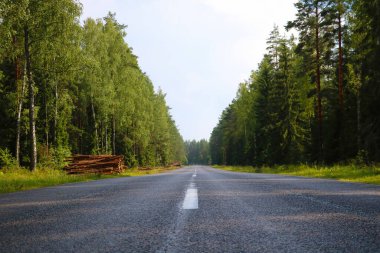Yağmurdan sonra ıslak bir orman yolu manzarası.