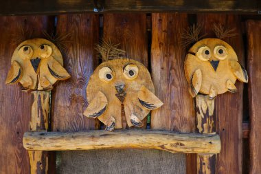 Çocuklar için parktaki komik tahta baykuşlar