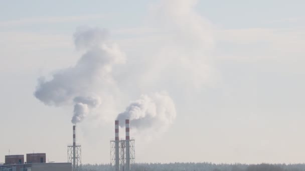 烟从烟囱里冒出来 工业废物 有害气体排放 — 图库视频影像
