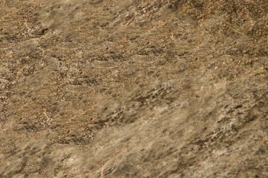 Parlak toprak manzarası. Seçici odaklanma. Arkaplan