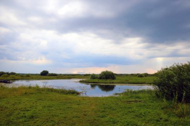 Büyümüş küçük bir göl manzarası