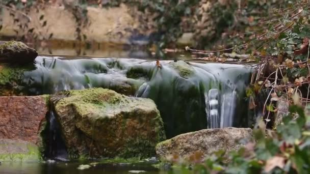 Woda Pięknie Płynie Małych Kamiennych Stokach — Wideo stockowe
