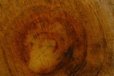 Ağaç kesimini kapat. Kahverengi arkaplan