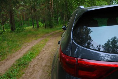 Ormanda modern bir arabanın arka görüntüsü.