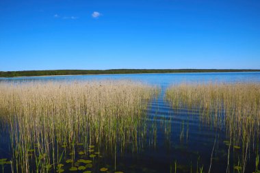 Güneşli bir yaz gününde güzel bir göl manzarası