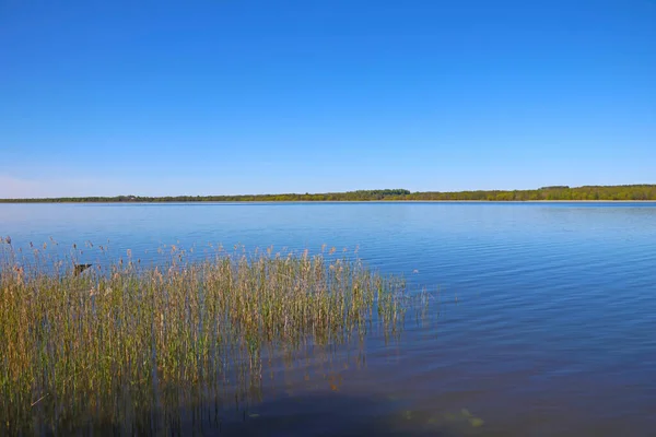 Güneşli bir yaz gününde güzel bir göl manzarası