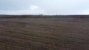 Havadan hasat edilen tarlalar.