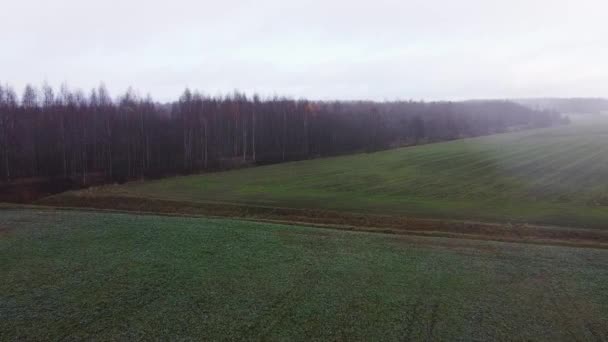 秋天的一个雾蒙蒙的早晨 无人机飞过了乡间的一片绿地 — 图库视频影像