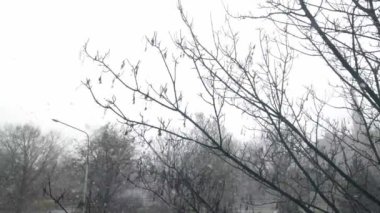 İlkbaharda yağan karın manzarası