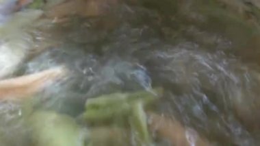 Su bir tencerede kaynıyor ve makarna pişiriliyor.