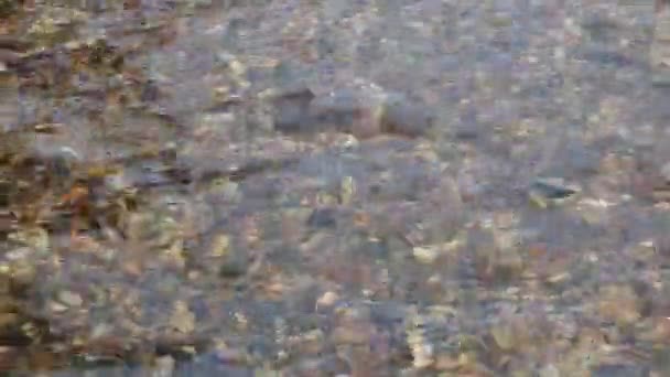 Čistá Čistá Voda Barevnými Kameny Dně Moři Nebo Jezeře — Stock video