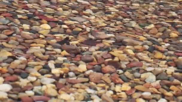 湖岸或海边清澈透明的水 阳光灿烂的日子里的小海浪 河底或海底美丽的多彩的石头 — 图库视频影像
