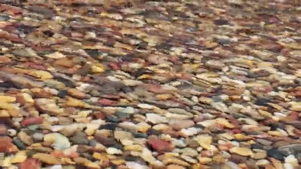 Transparent Clear Warm Water Shore Sea Lake Colorful Stones — Stock Video