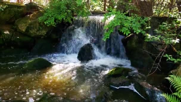 Ein Kleiner Wasserfall Mit Kaltem Klarem Bergwasser — Stockvideo