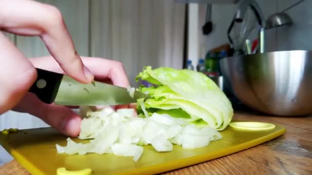 Μια Γυναίκα Κόβει Λάχανο Μια Ελαφριά Υγιεινή Σαλάτα — Αρχείο Βίντεο