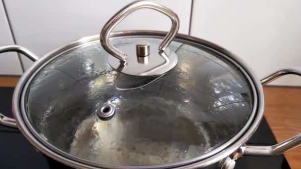 水在锅盖下的平底锅里沸腾 — 图库视频影像