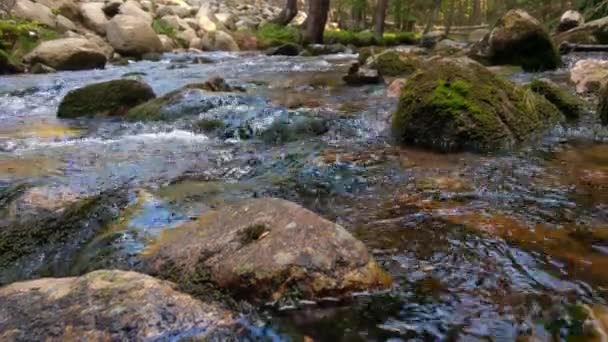 Ορεινή Ροή Κρύο Διαυγές Νερό Ποτάμι Ρέει Πάνω Από Τις — Αρχείο Βίντεο