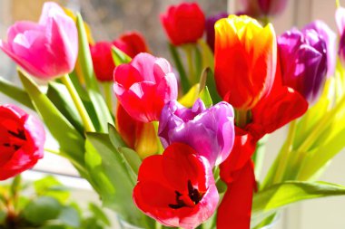 Fresh bouquet of blooming fragrant tulips in the park