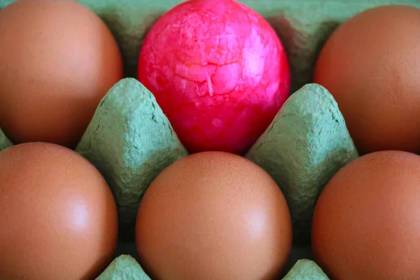 Eggs Cardboard Box Them One Color — Foto de Stock
