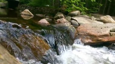 Slow motion. The mountain river flows slowly in the forest